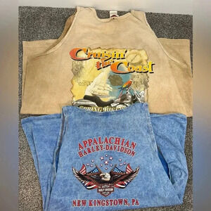 2 Harley Davidson tanks 2x